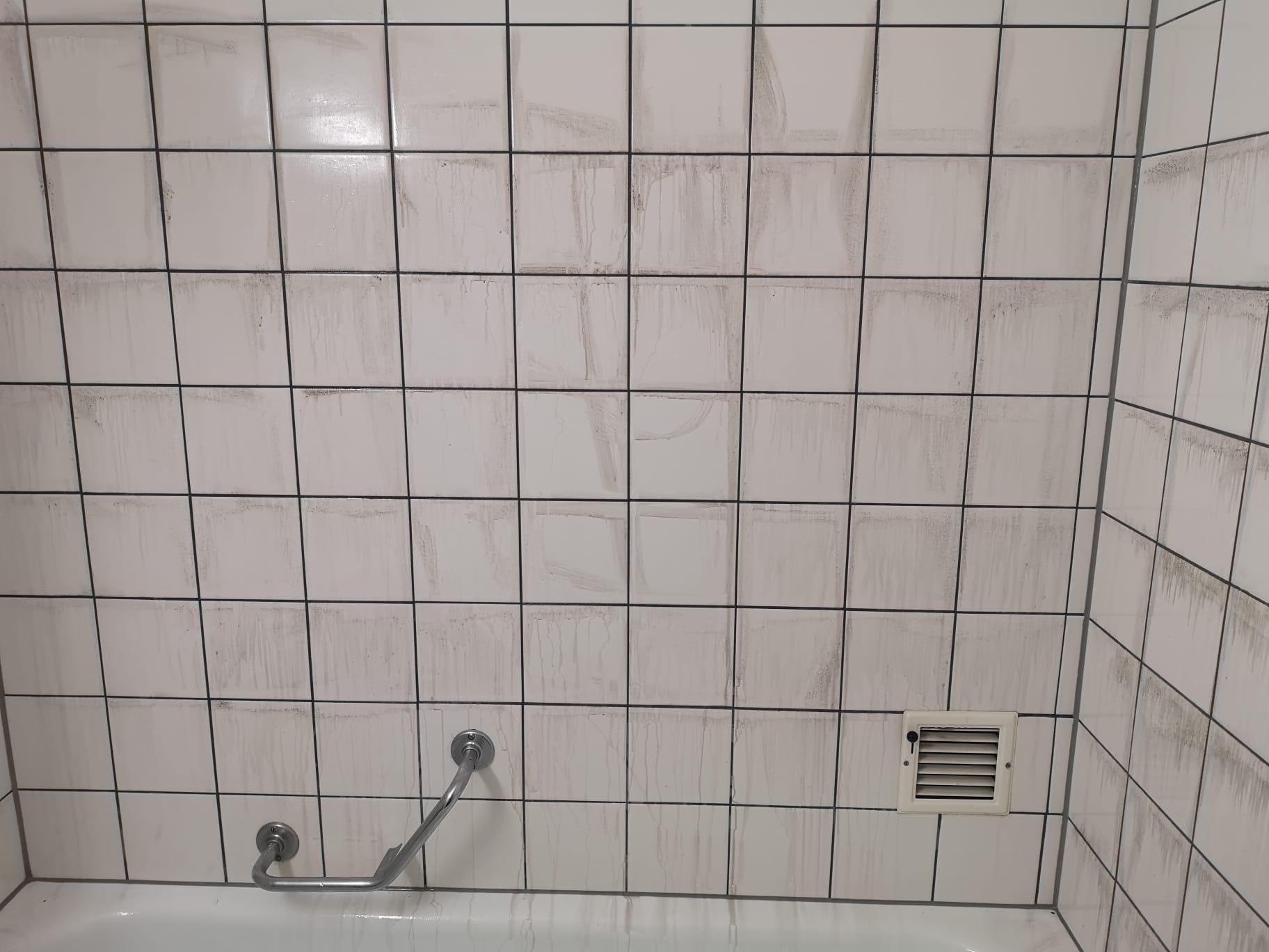 Professionelle Reinigungsarbeit