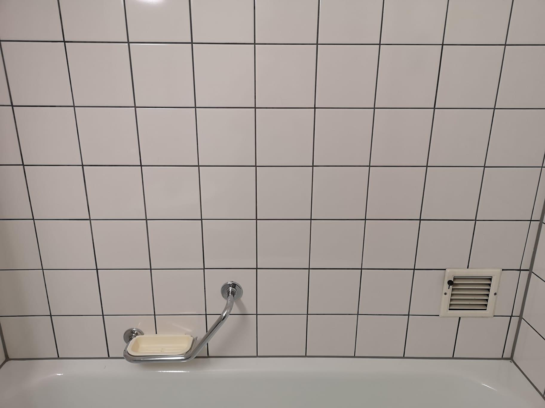 Professionelle Reinigungsarbeit