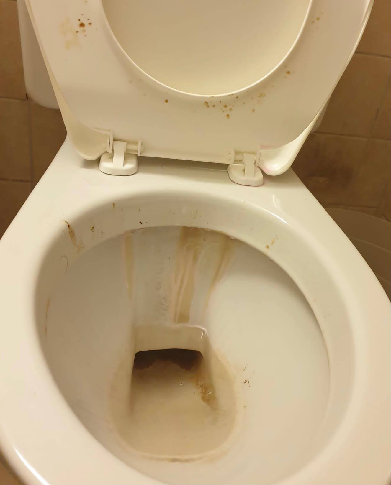 Vorher-Nachher Vergleich