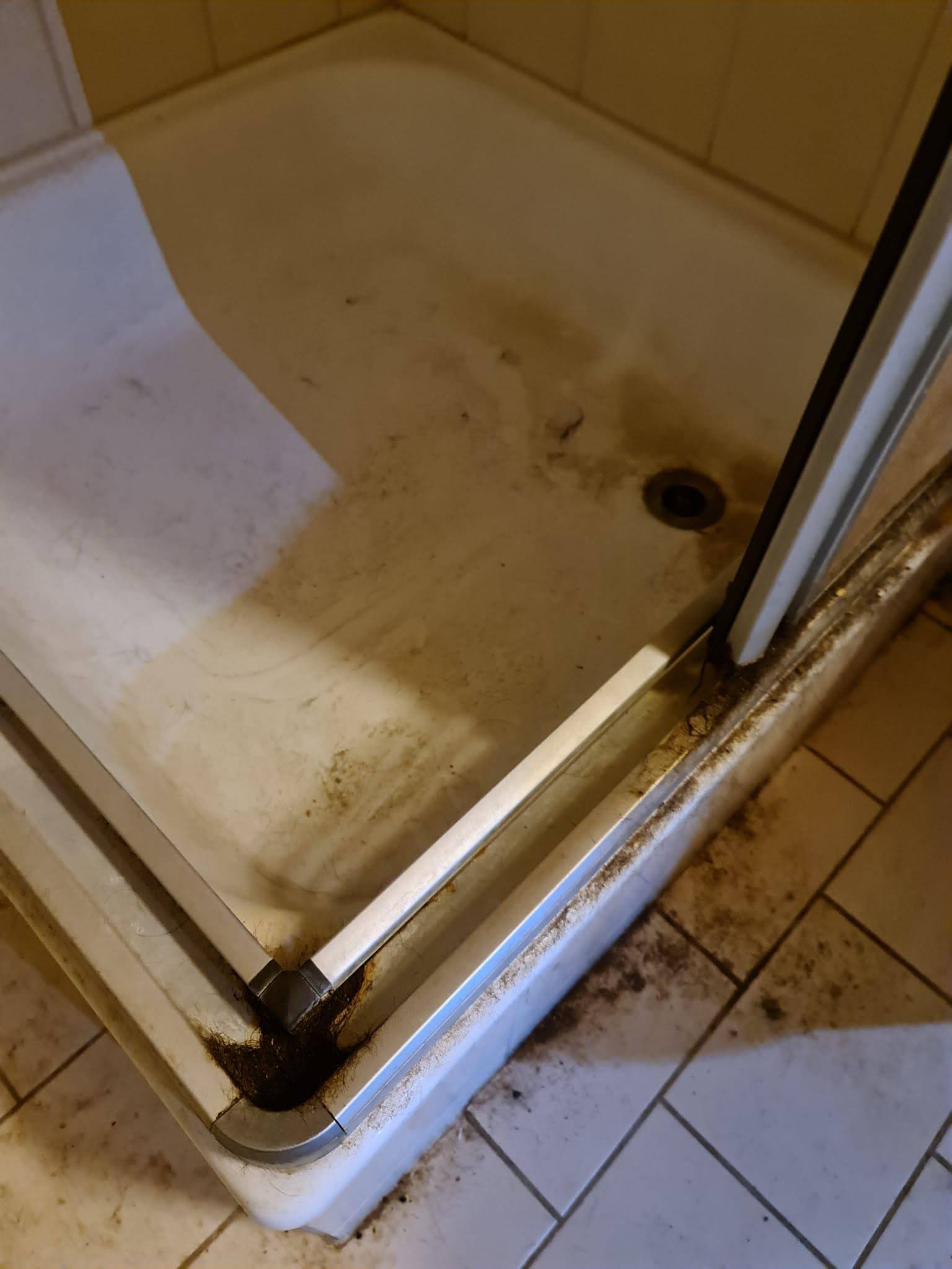 Vorher-Nachher Vergleich