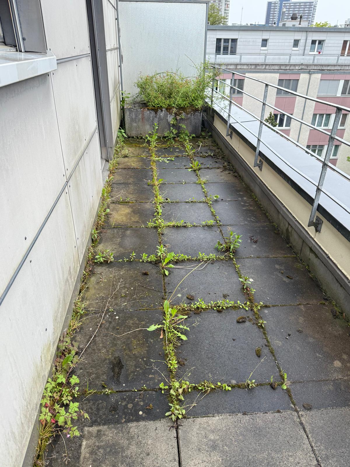 Hauswartung Basel – Vorher